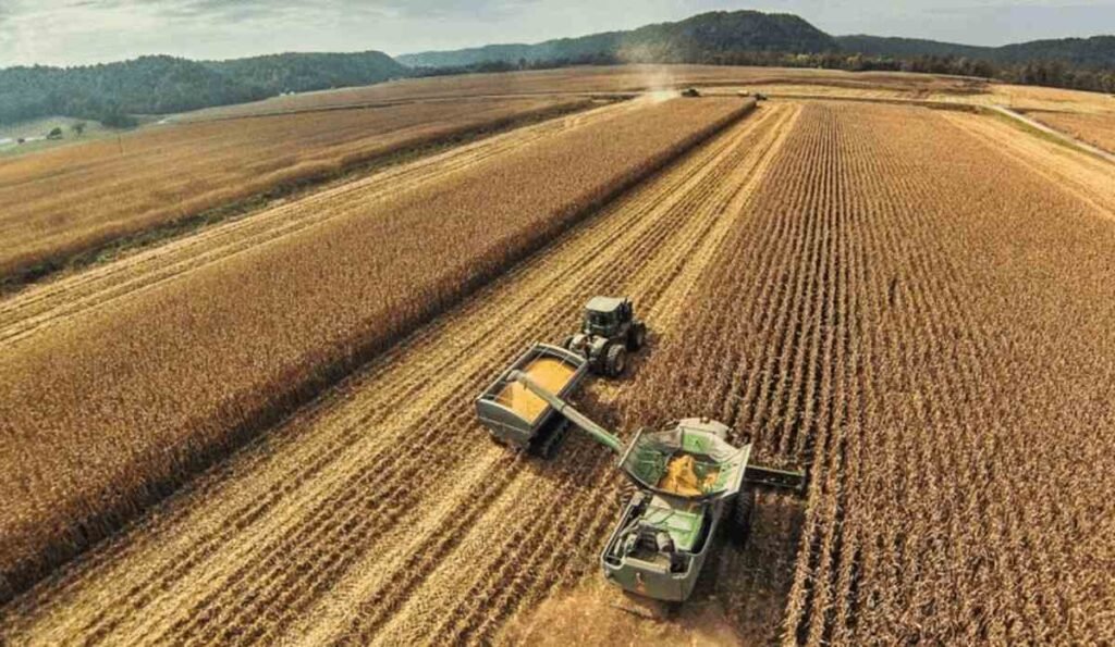 Asimetría de riesgos y retornos en el arrendamiento de tierras: el caso del cultivo de soja en Brasil Eje Global